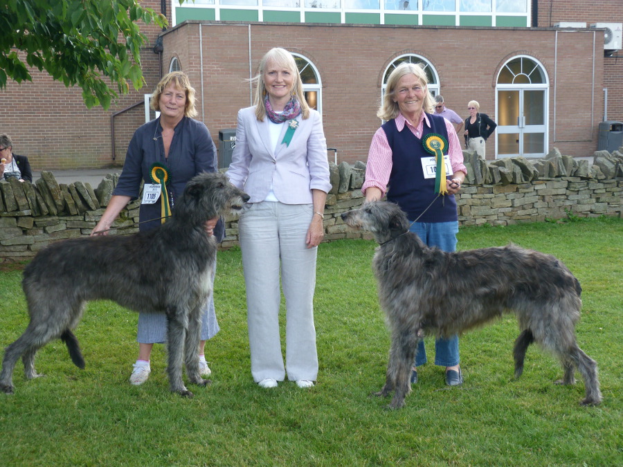 BOB & BOS Deerhound Club Breed Show 2012